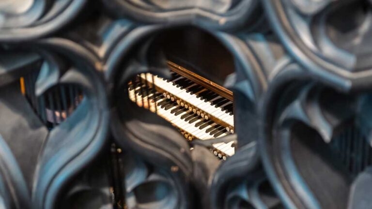 Organ